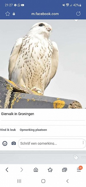 Giervalk